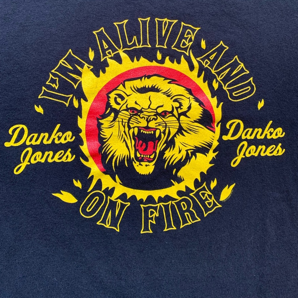 Danko Jones 2013 North American Tour Anvil Black T-Shirt